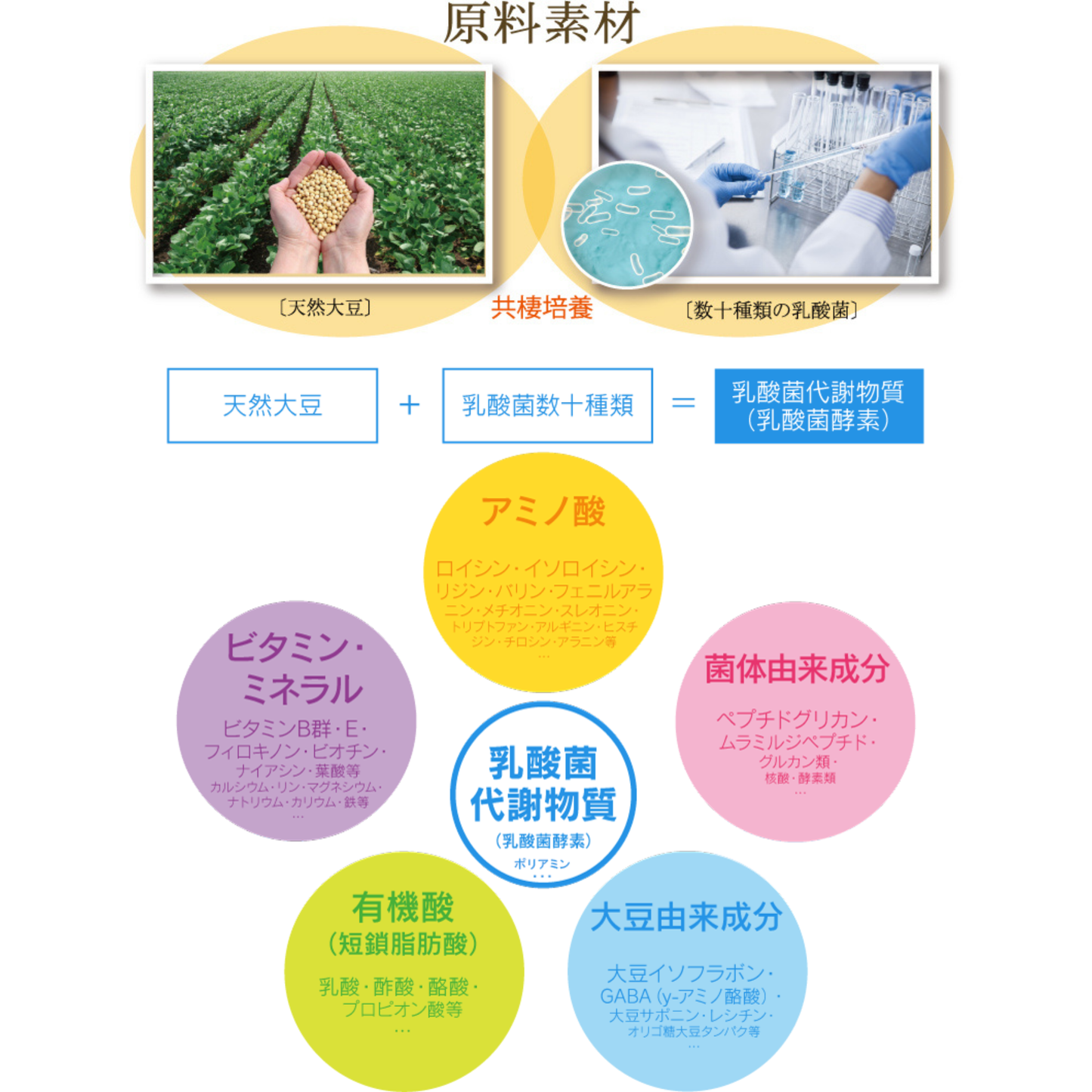 マテリア アスリートPRO